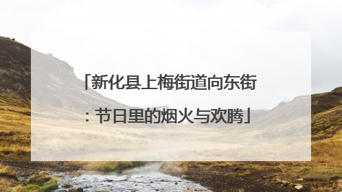 新化县上梅街道向东街：节日里的烟火与欢腾