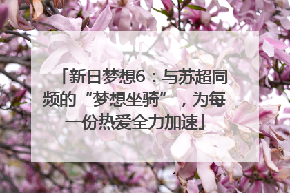 新日梦想6：与苏超同频的“梦想坐骑”，为每一份热爱全力加速