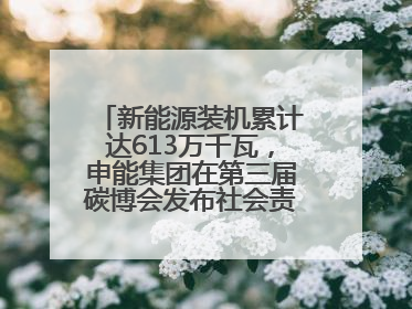 新能源装机累计达613万千瓦，申能集团在第三届碳博会发布社会责任报告