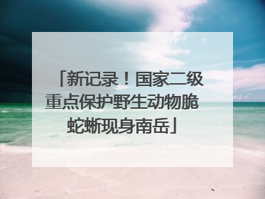 新记录！国家二级重点保护野生动物脆蛇蜥现身南岳