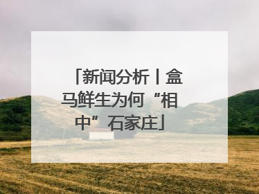 新闻分析丨盒马鲜生为何“相中”石家庄