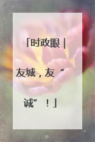 时政眼｜友城，友“诚”！