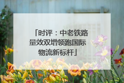 时评：中老铁路量效双增领跑国际物流新标杆