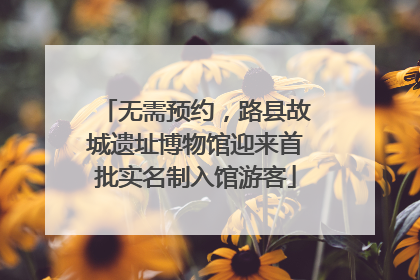 无需预约，路县故城遗址博物馆迎来首批实名制入馆游客