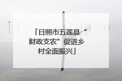 日照市五莲县“财政支农”促进乡村全面振兴
