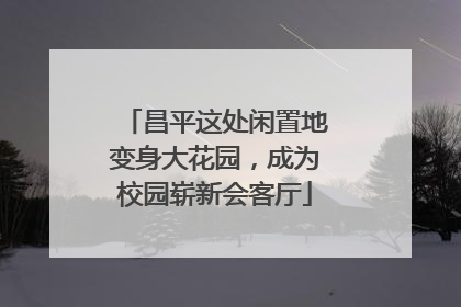 昌平这处闲置地变身大花园，成为校园崭新会客厅