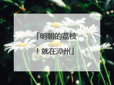 明朝的荔枝！就在漳州