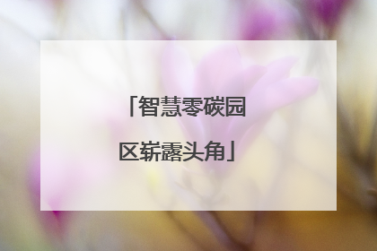 智慧零碳园区崭露头角