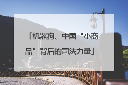 机器狗、中国“小商品”背后的司法力量