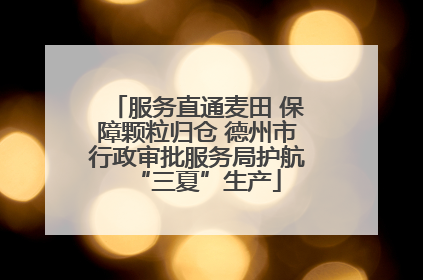 服务直通麦田 保障颗粒归仓 德州市行政审批服务局护航“三夏”生产