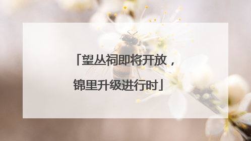 望丛祠即将开放，锦里升级进行时