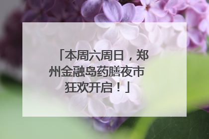 本周六周日，郑州金融岛药膳夜市狂欢开启！