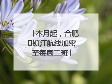 本月起，合肥⇋镇江航线加密至每周三班