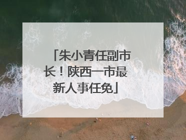 朱小青任副市长！陕西一市最新人事任免