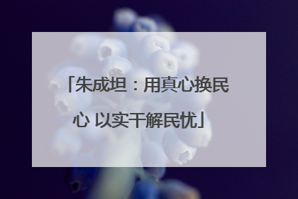 朱成坦：用真心换民心 以实干解民忧