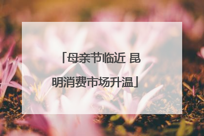 母亲节临近 昆明消费市场升温