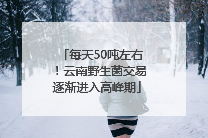 每天50吨左右！云南野生菌交易逐渐进入高峰期