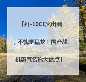歼-10CE火出圈，不愧是猛龙！国产战机霸气名称大盘点