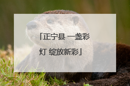 正宁县 一盏彩灯 绽放新彩