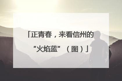 正青春，来看信州的“火焰蓝”（图）