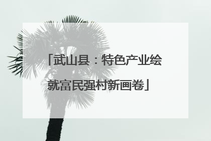 武山县：特色产业绘就富民强村新画卷