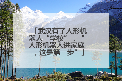 武汉有了人形机器人“学校”，“人形机器人进家庭，这是第一步”