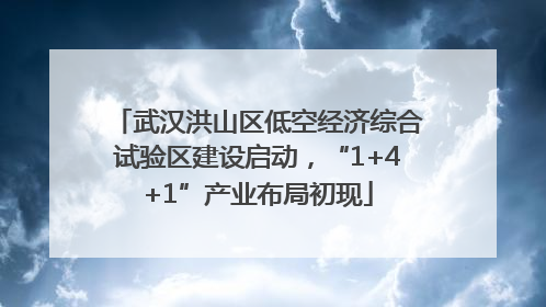 武汉洪山区低空经济综合试验区建设启动，“1+4+1”产业布局初现