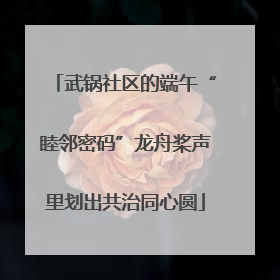 武锅社区的端午“睦邻密码”龙舟桨声里划出共治同心圆