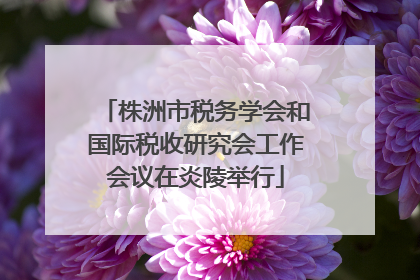 株洲市税务学会和国际税收研究会工作会议在炎陵举行