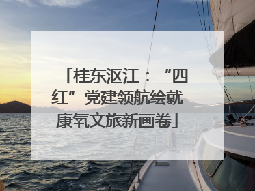 桂东沤江：“四红”党建领航绘就康氧文旅新画卷