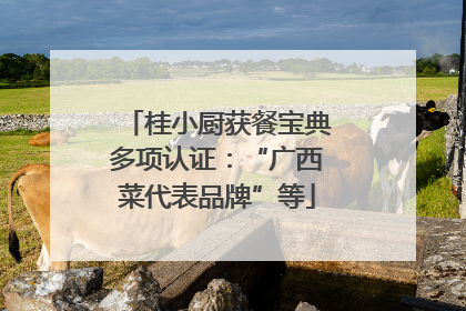 桂小厨获餐宝典多项认证：“广西菜代表品牌”等