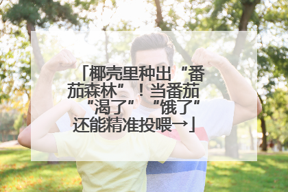 椰壳里种出“番茄森林”！当番茄“渴了”“饿了”还能精准投喂→