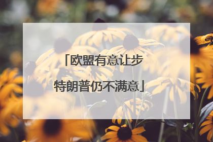 欧盟有意让步 特朗普仍不满意