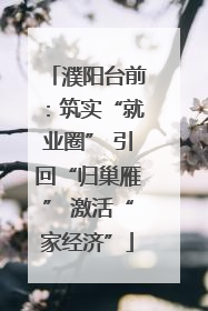 濮阳台前：筑实“就业圈” 引回“归巢雁” 激活“家经济”