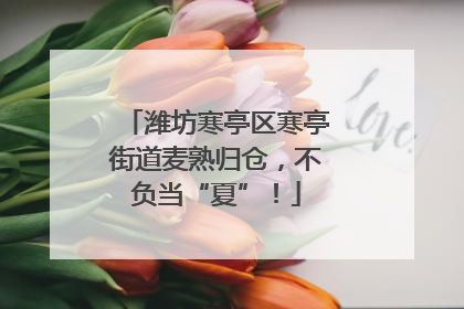 潍坊寒亭区寒亭街道麦熟归仓，不负当“夏”！