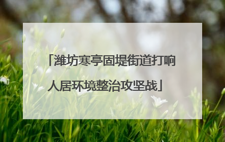 潍坊寒亭固堤街道打响人居环境整治攻坚战