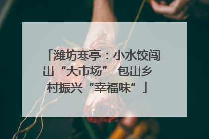 潍坊寒亭：小水饺闯出“大市场” 包出乡村振兴“幸福味”