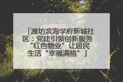 潍坊滨海学府新城社区：党建引领创新服务 “红色物业”让居民生活“幸福满格”