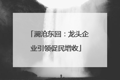 澜沧东回：龙头企业引领促民增收