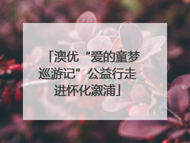 澳优“爱的童梦巡游记”公益行走进怀化溆浦