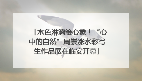 水色淋漓绘心象！“心中的自然”周崇涨水彩写生作品展在临安开幕