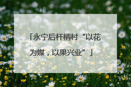 永宁后杆柄村“以花为媒，以果兴业”