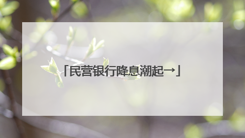 民营银行降息潮起→