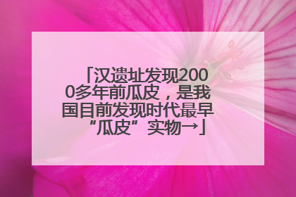 汉遗址发现2000多年前瓜皮，是我国目前发现时代最早“瓜皮”实物→