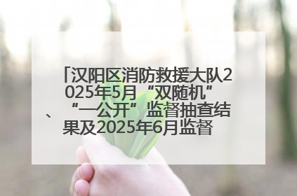汉阳区消防救援大队2025年5月“双随机”、“一公开”监督抽查结果及2025年6月监督抽查任务公示
