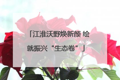 江淮沃野焕新颜 绘就振兴“生态卷”