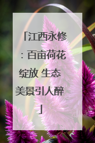 江西永修：百亩荷花绽放 生态美景引人醉