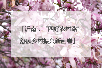沂南：“四好农村路”舒展乡村振兴新画卷