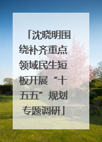 沈晓明围绕补齐重点领域民生短板开展“十五五”规划专题调研