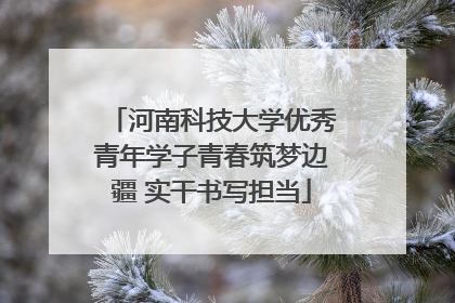 河南科技大学优秀青年学子青春筑梦边疆 实干书写担当